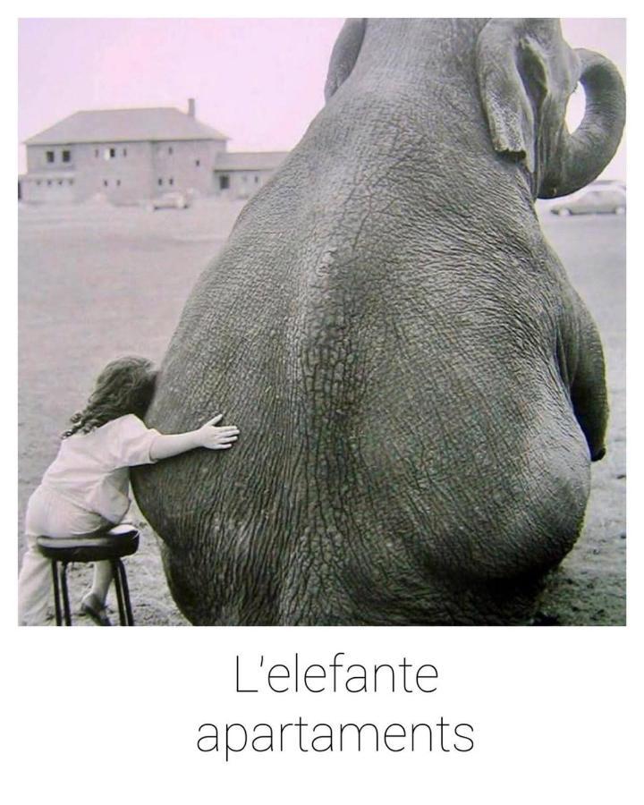 Elefante Appartamenti Πεσκάρα Εξωτερικό φωτογραφία